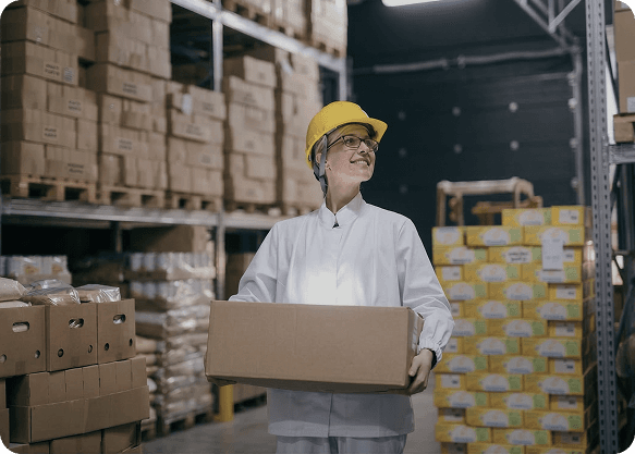 logistics
